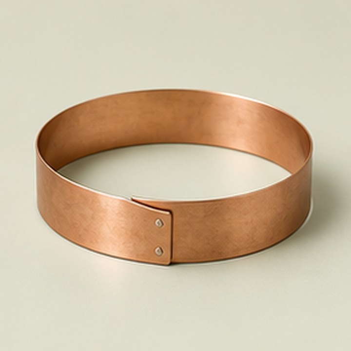 Schneckenschutz-Ring